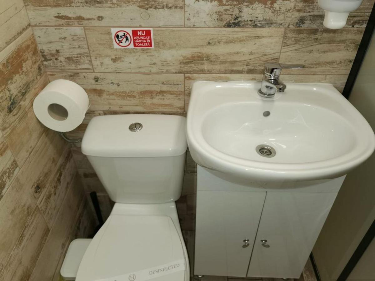 In Tmisoara Apartament *