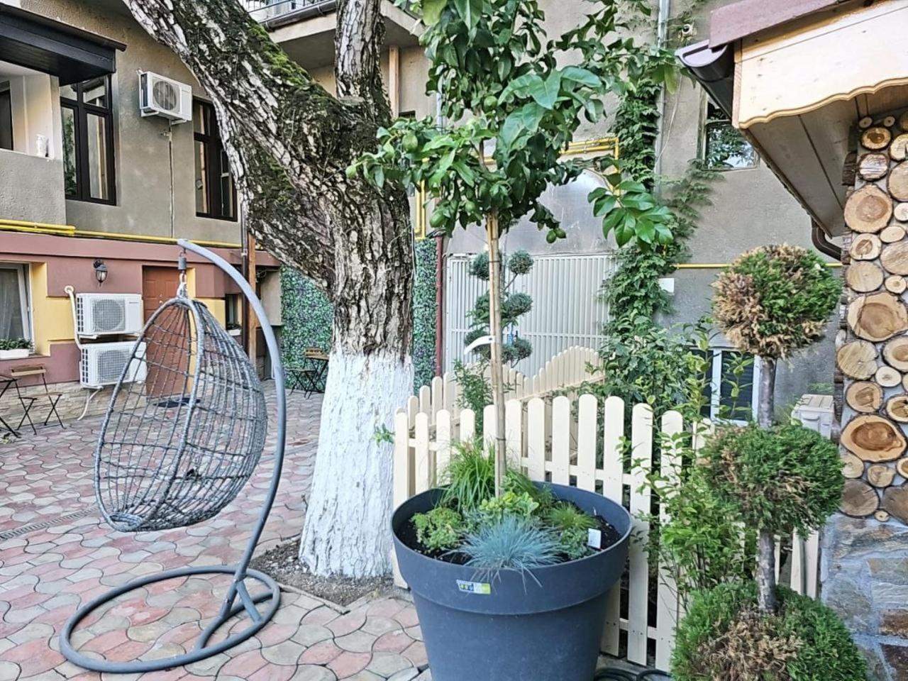 In Tmisoara Apartament
