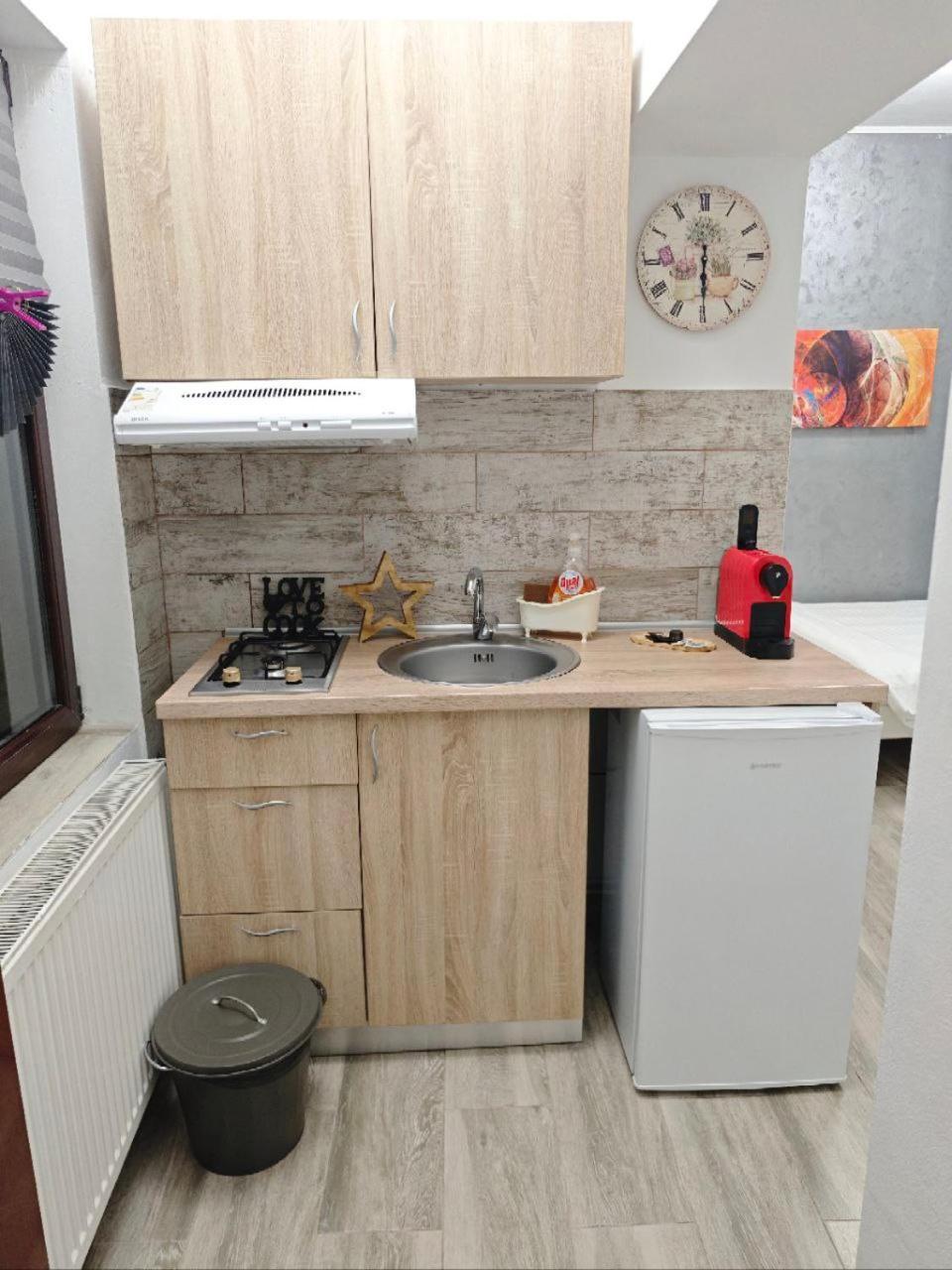 Apartament In Tmisoara *