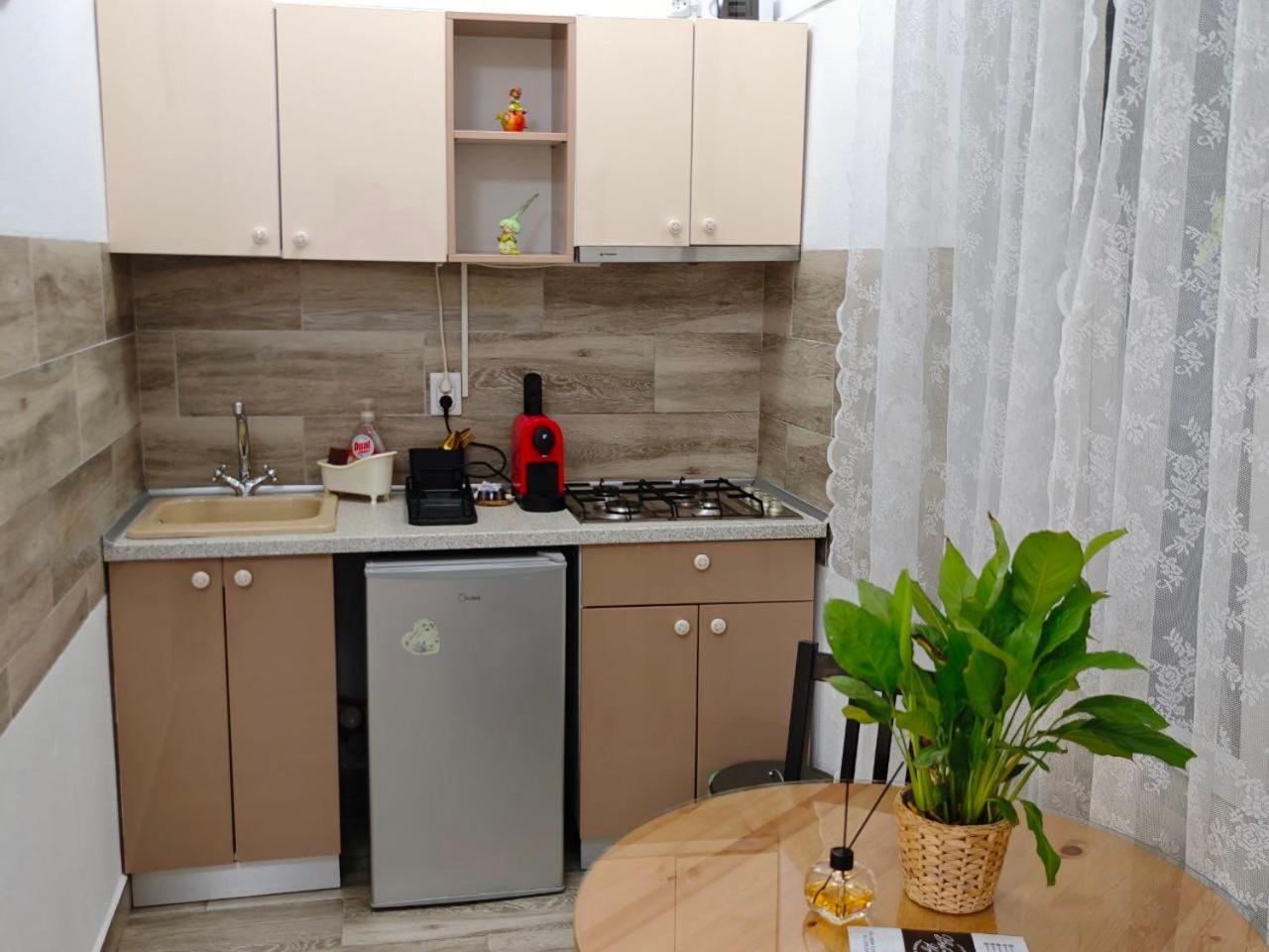 Apartament In Tmisoara *